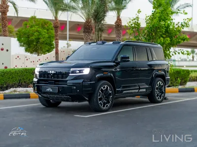 بي واي دي ليوبارد ٨ 2025
